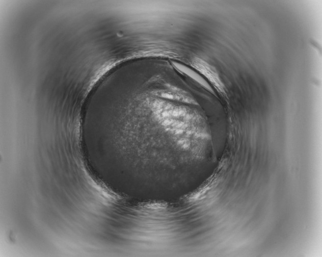 X0000095540156200712281552