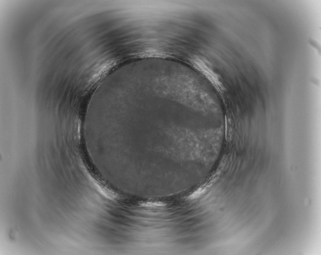 X0000095540157200712281552