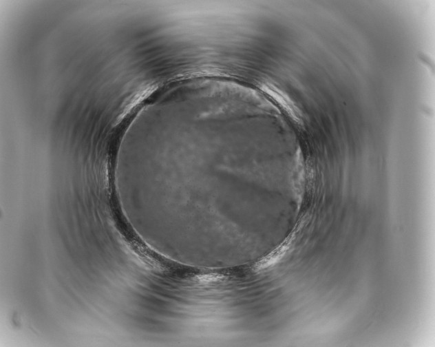 X0000095540158200712281552