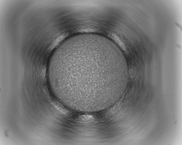 X0000095540159200712281552