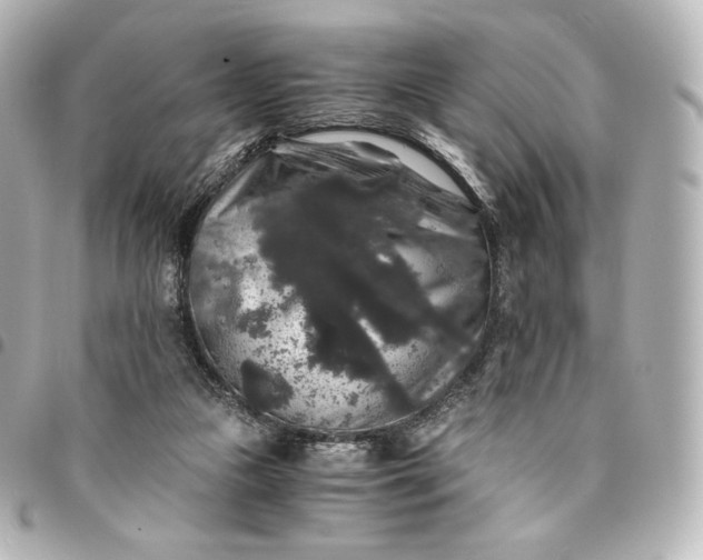 X0000095540161200712281552