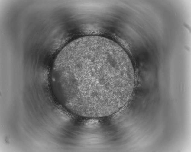 X0000095540162200712281552