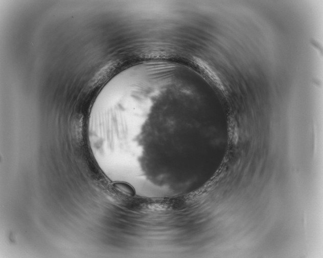 X0000095540163200712281552