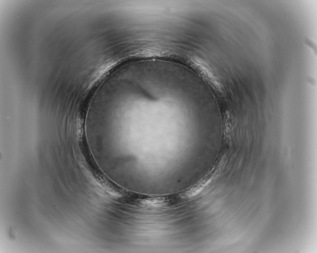 X0000095540164200712281552