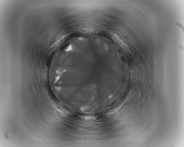 X0000095540165200712281552