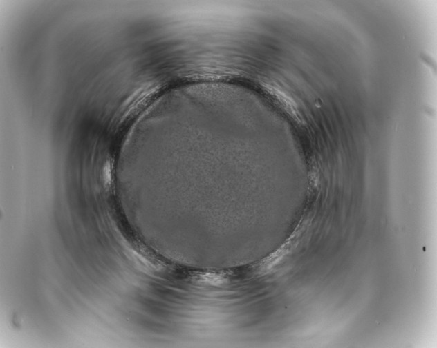 X0000095540166200712281552