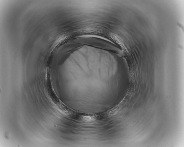 X0000095540167200712281552