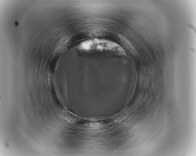 X0000095540169200712281552