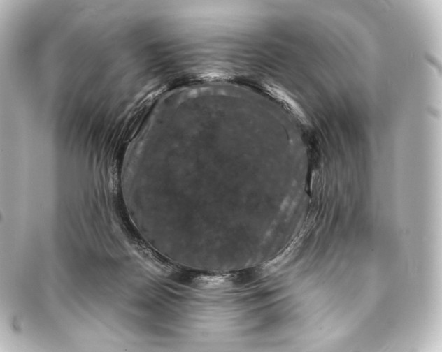 X0000095540170200712281552