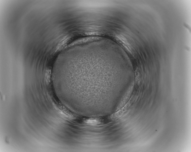 X0000095540171200712281552