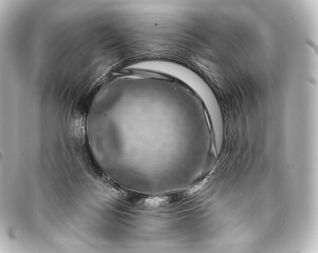 X0000095540172200712281552