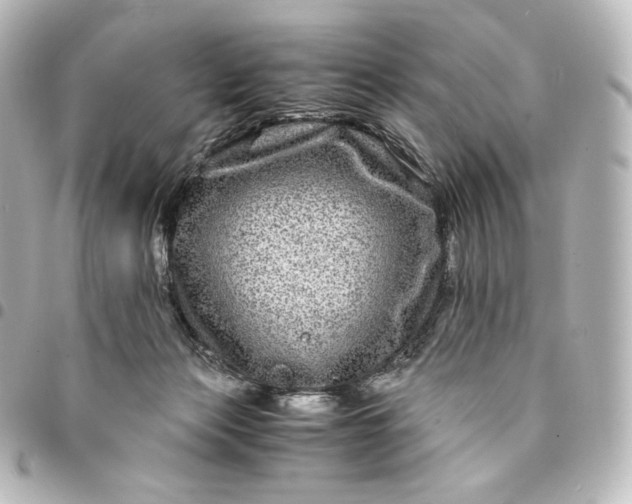 X0000095540173200712281552