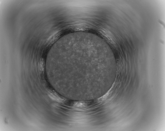 X0000095540174200712281552