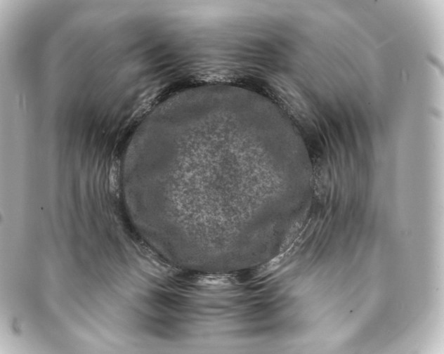 X0000095540175200712281552