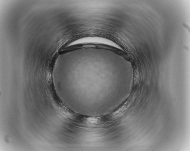 X0000095540176200712281552