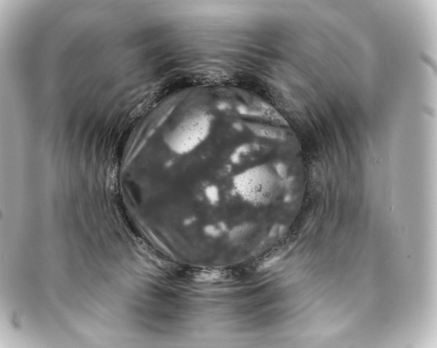 X0000095540177200712281552