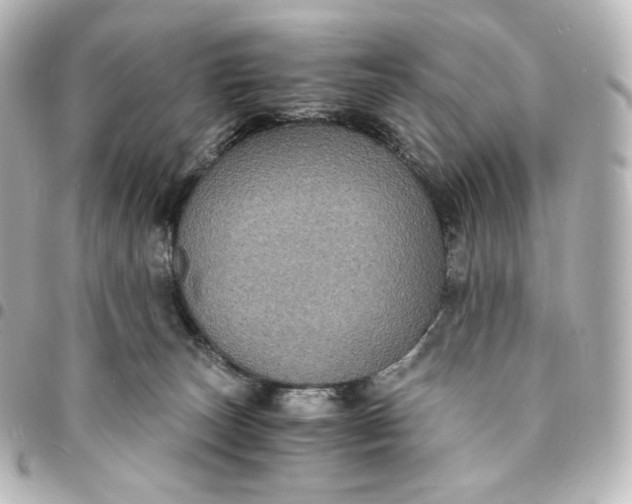 X0000095540179200712281552