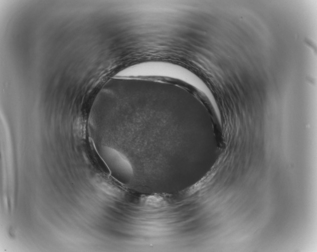 X0000095540180200712281552