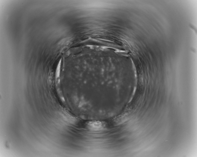 X0000095540181200712281552