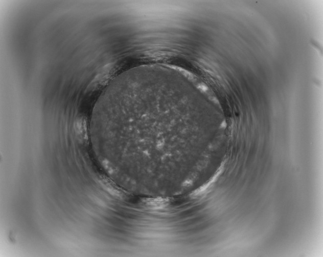 X0000095540182200712281552