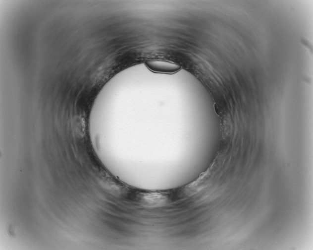 X0000095540183200712281552