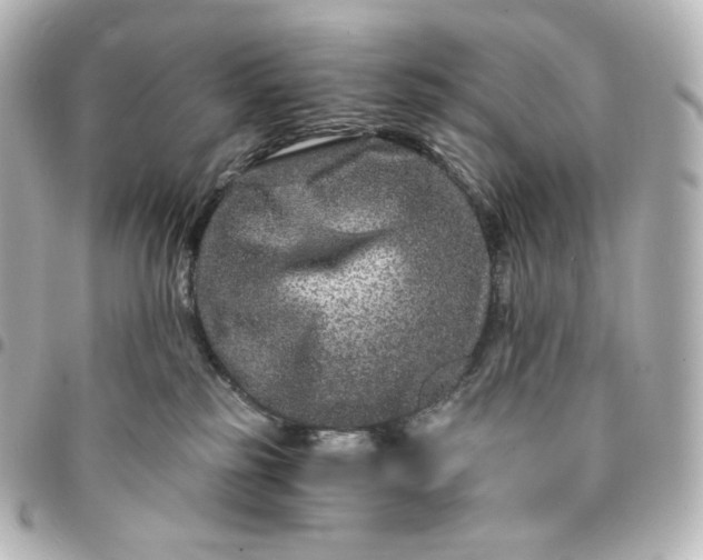 X0000095540185200712281552