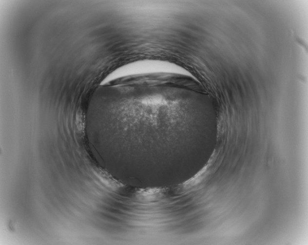 X0000095540186200712281552