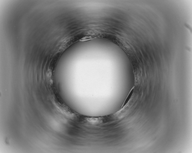 X0000095540187200712281552