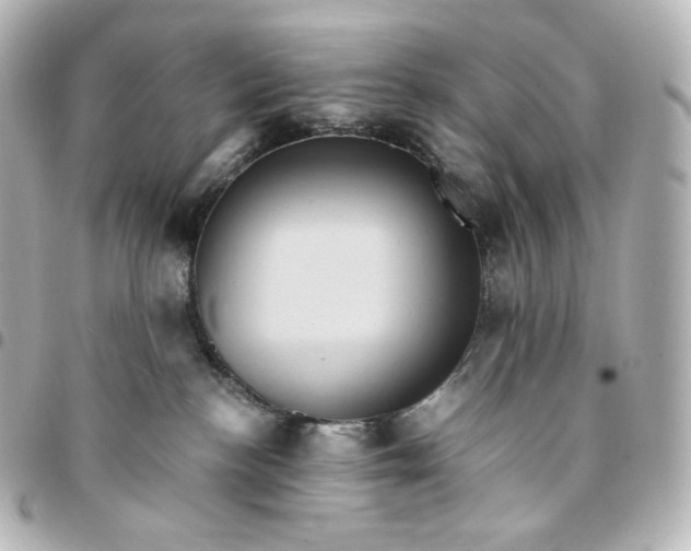 X0000095540188200712281552