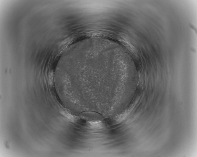 X0000095540189200712281552