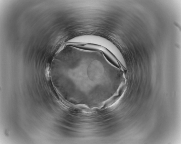 X0000095540190200712281552