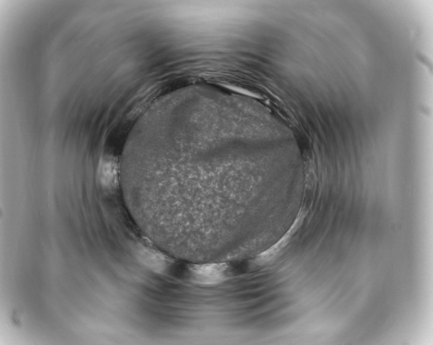 X0000095540191200712281552