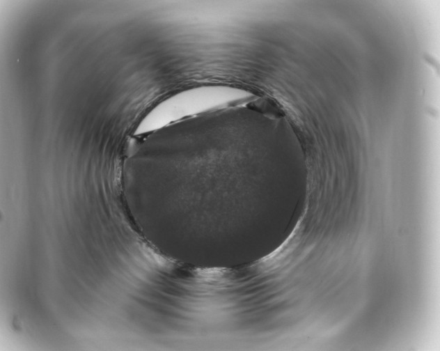 X0000095540192200712281552