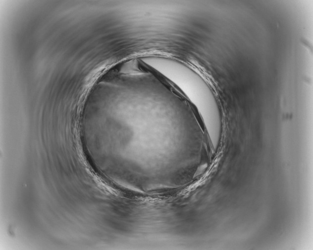 X0000095540193200712281552