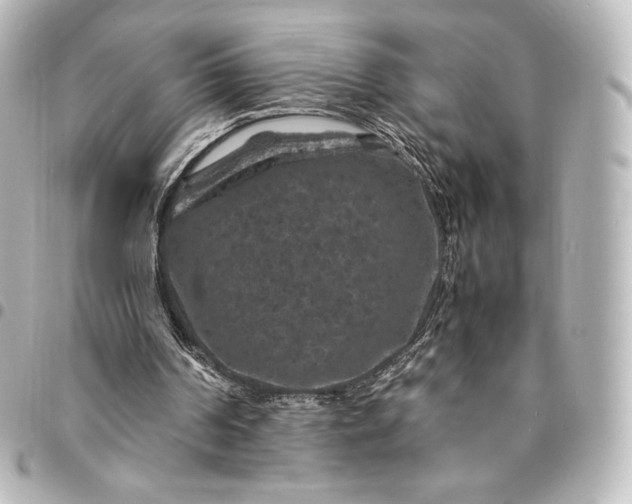 X0000095540194200712281552