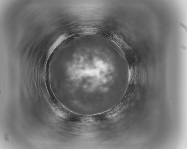 X0000095540195200712281552