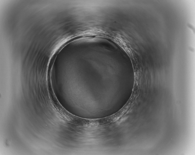 X0000095540196200712281552