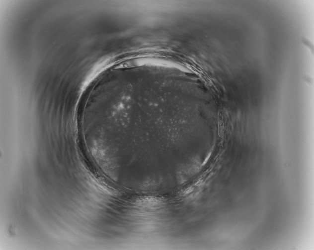 X0000095540198200712281552