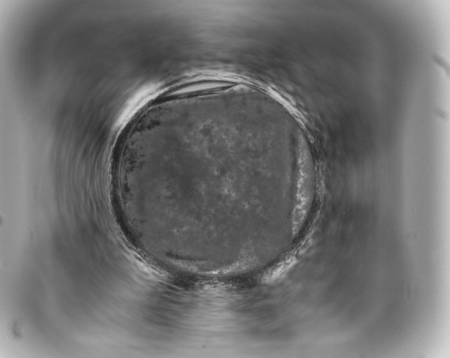 X0000095540199200712281552