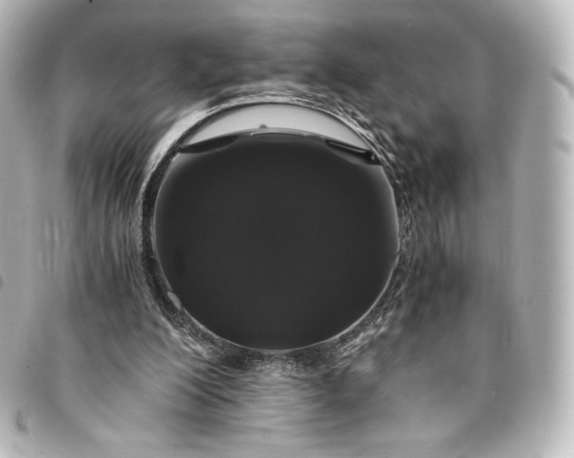 X0000095540200200712281552