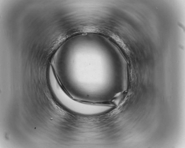 X0000095540201200712281552