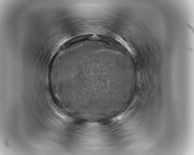 X0000095540203200712281552