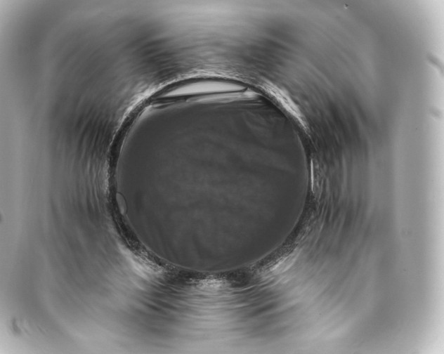 X0000095540204200712281552