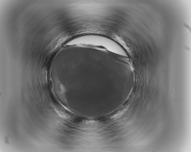 X0000095540205200712281552