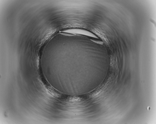 X0000095540206200712281552