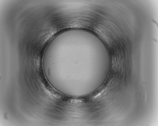 X0000095540208200712281551