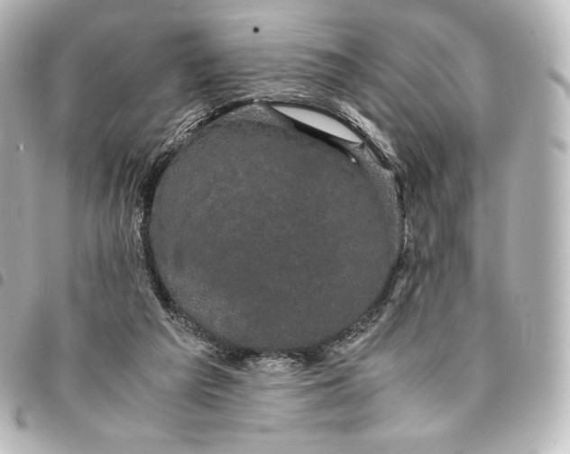 X0000095540209200712281551