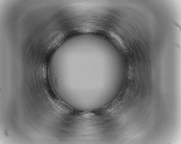 X0000095540210200712281551