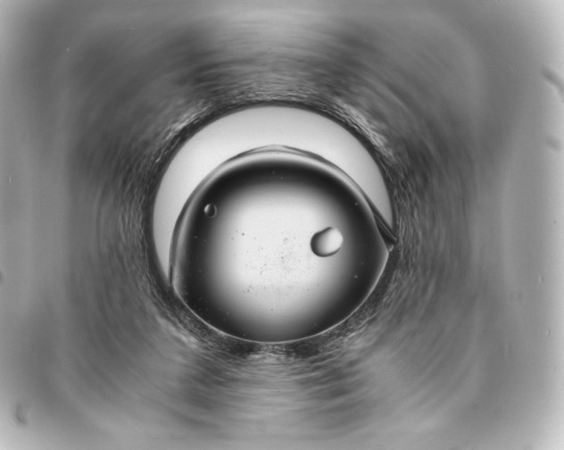 X0000095540211200712281551