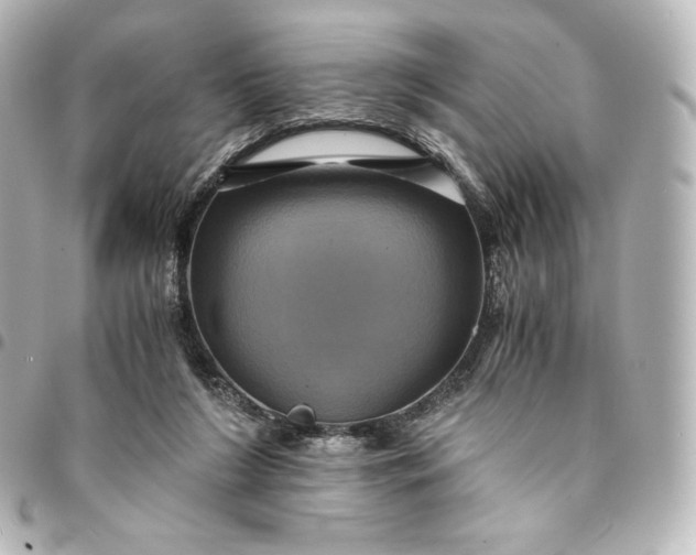 X0000095540212200712281551